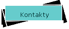 Kontakty